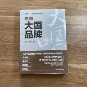 走向大国品牌