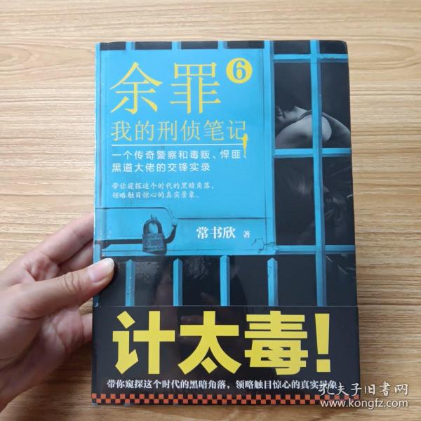 余罪6：我的刑侦笔记