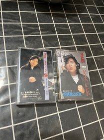 潘美辰磁带（2盒合售）