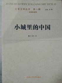 【二手85新】小城里的中国许卫国普通图书/文学
