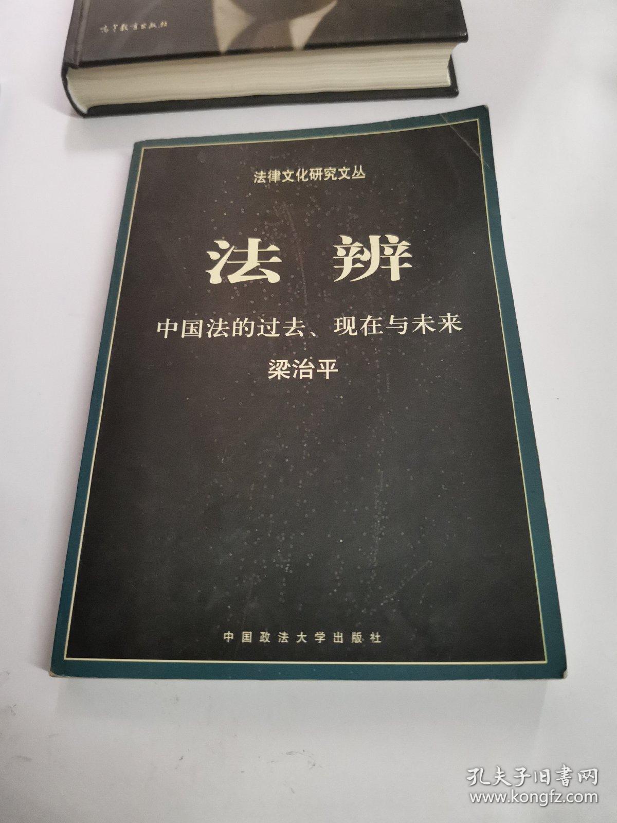 法辨：中国法的过去、现在与未来