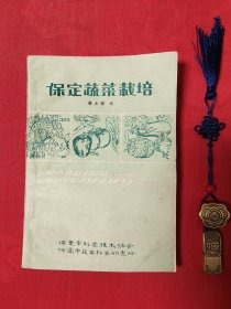 保定蔬菜栽培