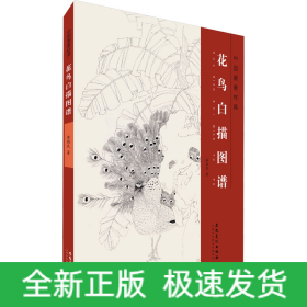花鳥白描圖譜