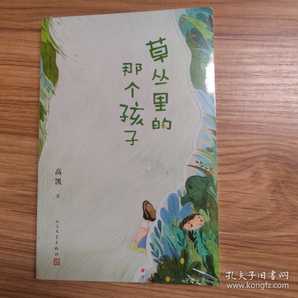 草丛里的那个孩子（《村小：生字课》作者高凯倾心打造一部充满现实主义和惊奇诗意的诗集）