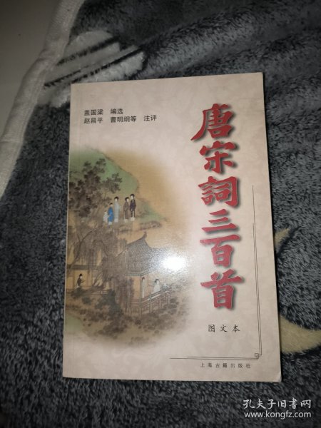 唐宋词三百首