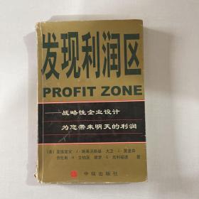 发现利润区：战略性企业设计为您带来明天的利润