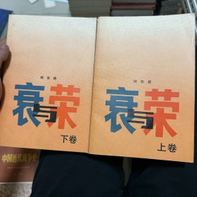 衰与荣（上下）