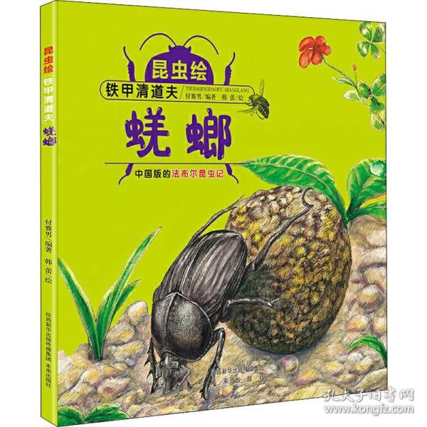 昆虫绘 蜣螂