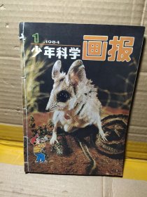 少年科学画报 1984年1、2、3、4、5