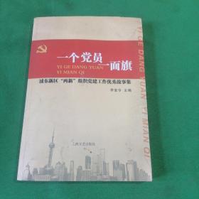 一個(gè)黨員一面旗:浦東新區(qū)“兩新”組織黨建工作優(yōu)秀故事集