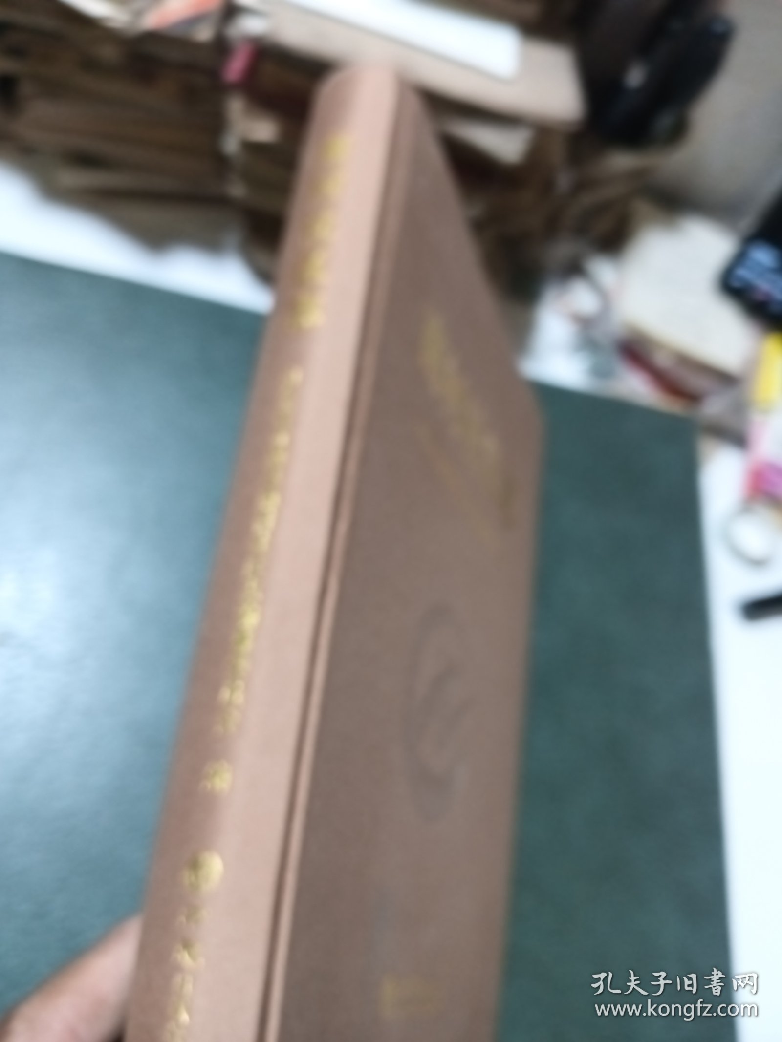 点击查看原图 南村社区志