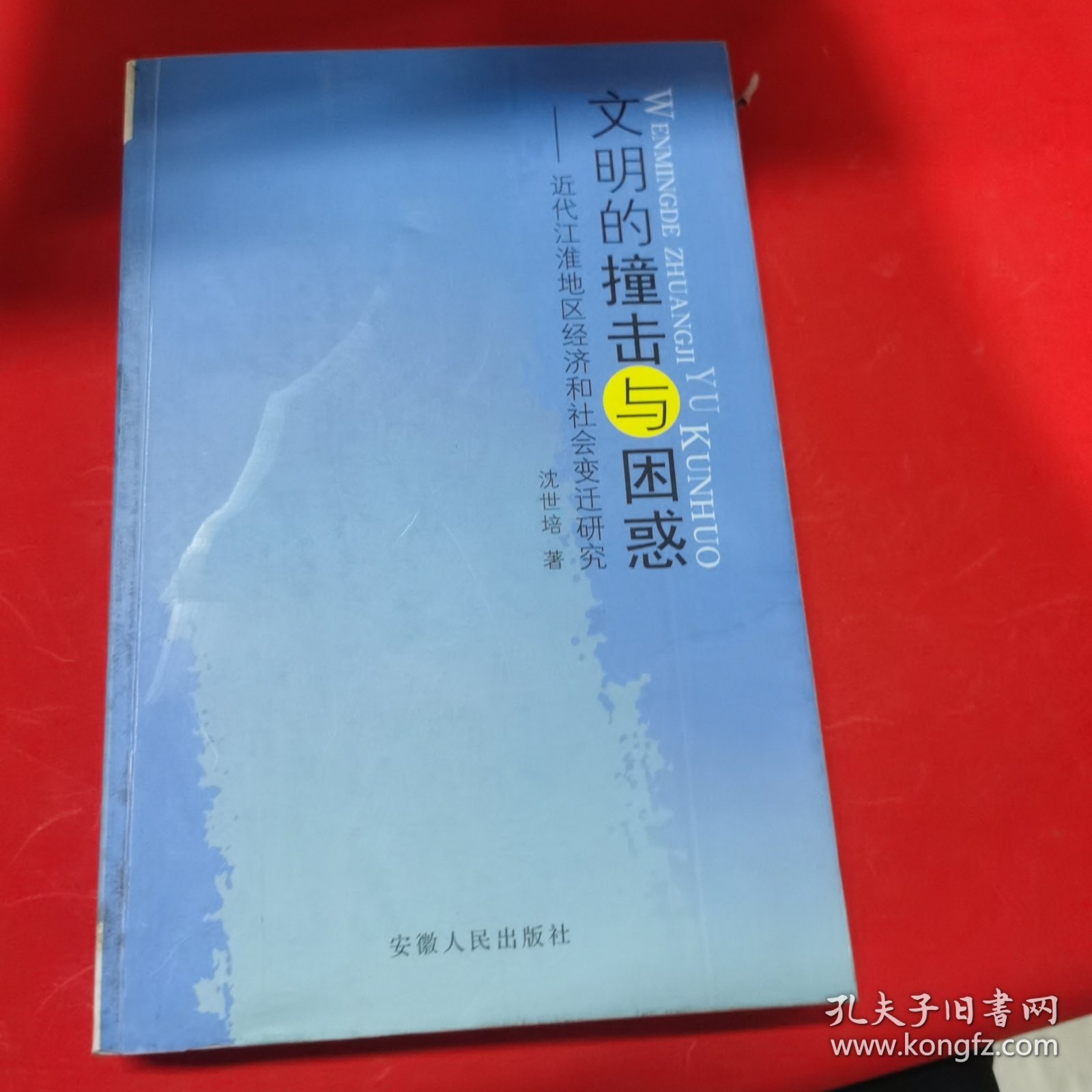 文明的撞击与困惑:近代江淮地区经济和社会变迁研究