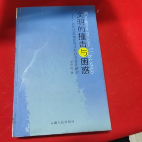 文明的撞击与困惑:近代江淮地区经济和社会变迁研究