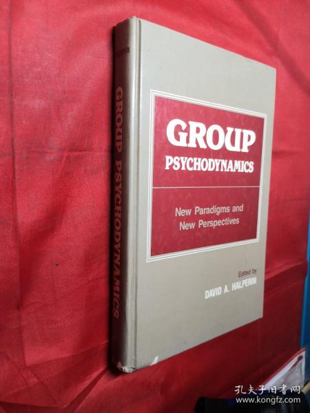 Group Psychodynamics
New Paradigms and New Perspectives(英文版)
