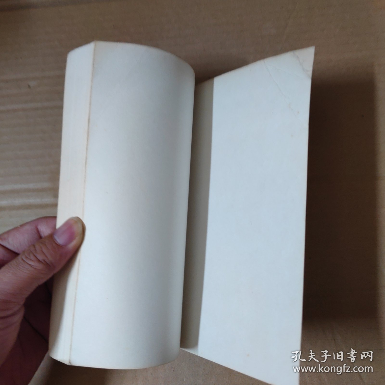 四溟詩話 薑齋詩話 98年一印