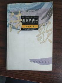 春天的麥子
