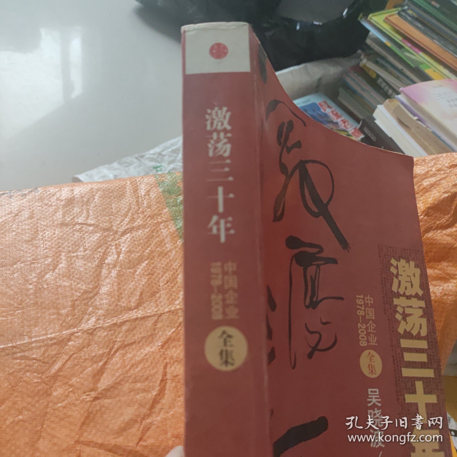 激荡三十年（全集）：中国企业1978-2008