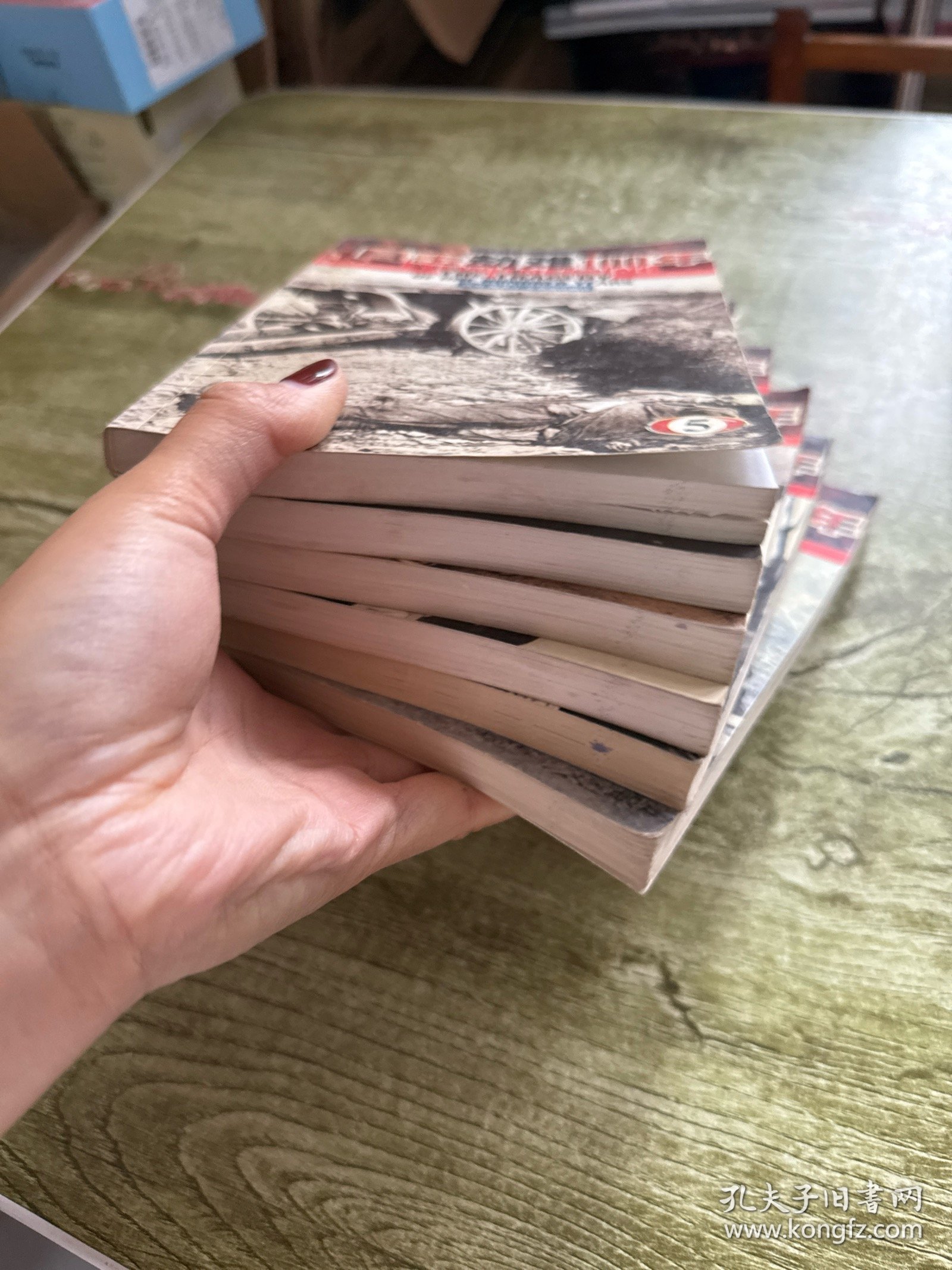 目击劫难100年（全六册）