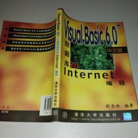 VisualBasic6.0中文版数据库和Internet编程