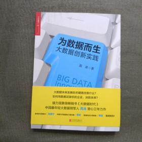 为数据而生：大数据创新实践