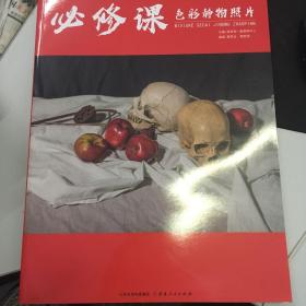 必修课色彩静物照片