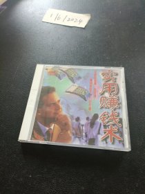 VCD：实用赚钱术