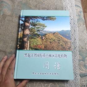 黑龙江省国有重点林区常见植物图谱（大16开本、硬精装、全新、未翻阅）铜版彩印、图文本