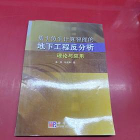 基于仿生计算智能的地下工程反分析：理论与应用