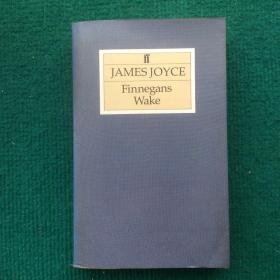 JAMES JOYCE Finnegans Wake