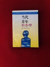 当代青年社会学 32开