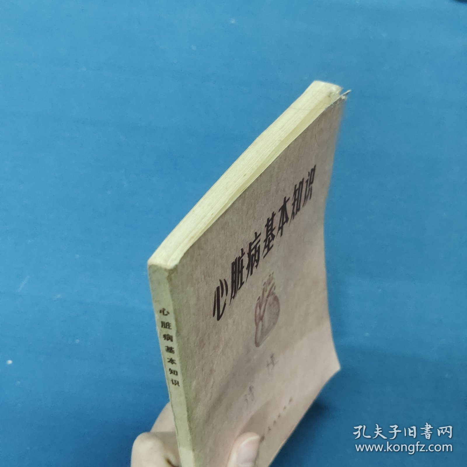 心脏病基本知识