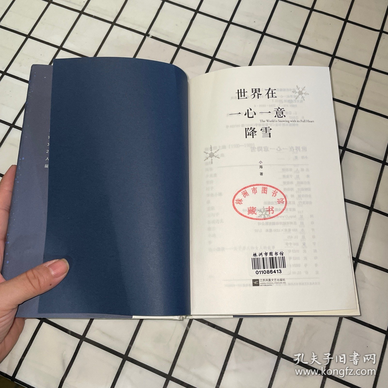 世界在一心一意降雪（一版一印）