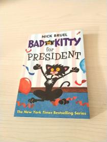 BAD KITTY FOR PRESIDENT