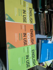 English Idioms in Use Advanced三本