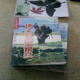誘人的戰(zhàn)爭拐杖:軍需裝備發(fā)明史