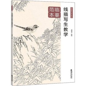 線描寫生教學(xué)臨摹范本
