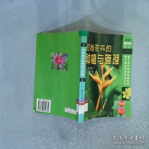 时尚花卉的种植与管理