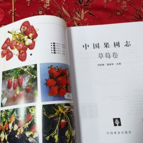 中国果树志系列（2）：中国果树志 草莓卷（中国草莓志） 郑明琴、雷家军主编 中国林业出版社2005年5月一版一印＜31.8＞ 印数：2000册