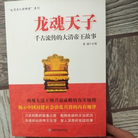 龙魂天子：千古流传的大清帝王故事