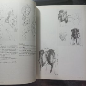 正版 解构人体-艺术人体解剖 孙韬叶南 人民美术出版社