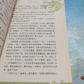 少年天子系列:少年雍正