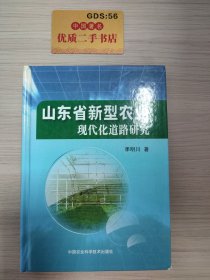 山东省新型农业现代化道路研究