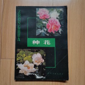 种花