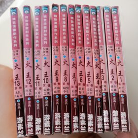 漫画书 火王 1--13全，共13本合售，64开 卡通漫画