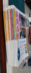 炎黄春秋1994年全年12册 全内页无勾画水印