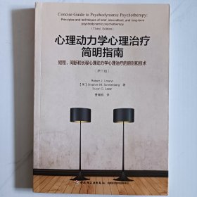 心理动力学心理治疗简明指南：短程、间断和长程心理动力学心理治疗的原则和技术（第三版）