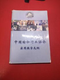 中国瑜伽行业协会实用教学大纲(品相差有笔记划线实物拍照，以图为准)