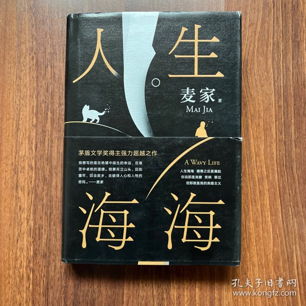 麦家：人生海海（茅盾文学奖得主麦家2019年强力之作）