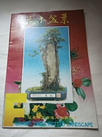 花木盆景 1994.5