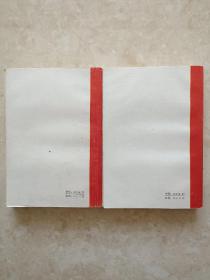 济公全传（上下册）（插图版）